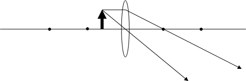 convexlensinsidef3.gif